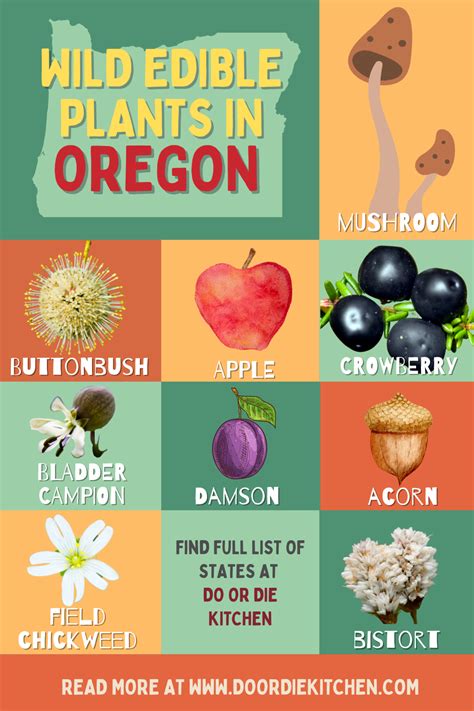 Oregon Foraging Guide