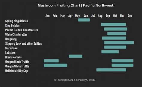 Oregon Mushroom Season Chart