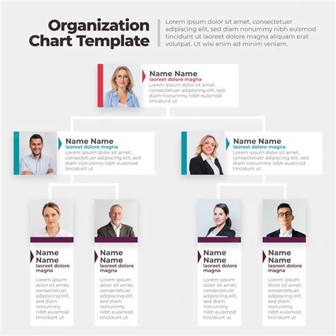 Why Does your Company Require an Organization Chart? + Free Template