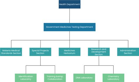 Org Chart Department Of Health