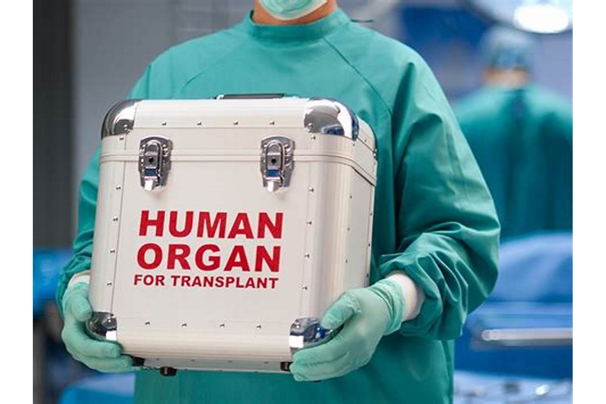 Operasi transplantasi organ-trafik ilegal