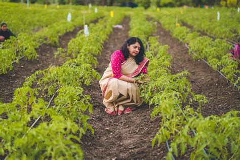 Organic Farming Business In India