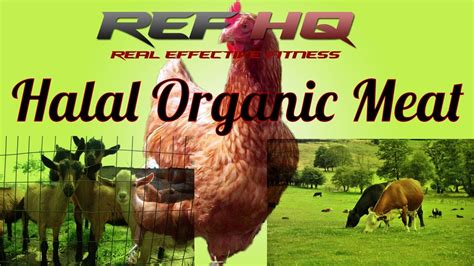 Discover the Best Organic Halal Meat for Healthy and Ethical Eating