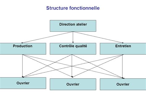 Organisation Fonctionnelle