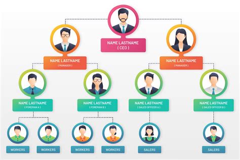 Organizational Chart Of A Company Example