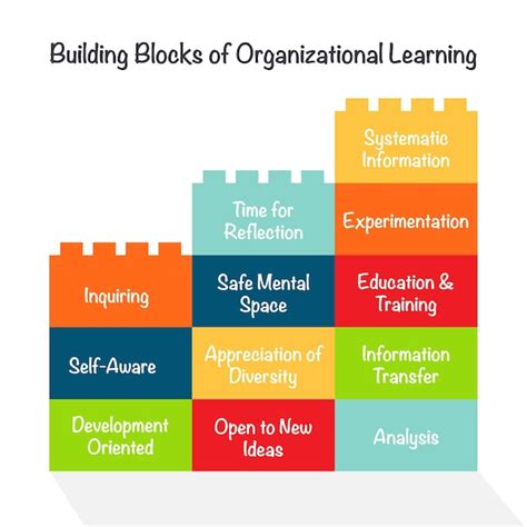 Organizational Learning from Lowlights