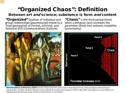 Organized Chaos Definition