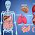 Organs In The Body