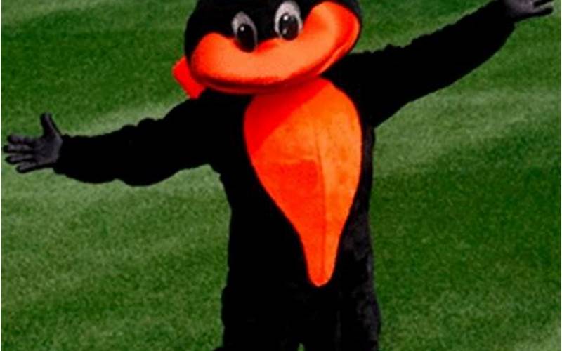 Oriole Bird And Ray Mascot