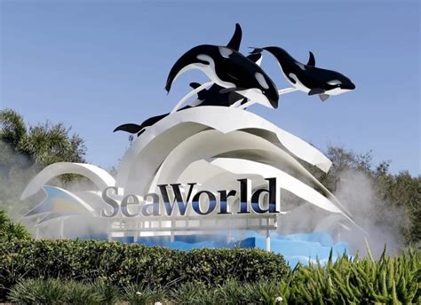 Orlando SeaWorld Shuttle Service: A Top Guide & Review