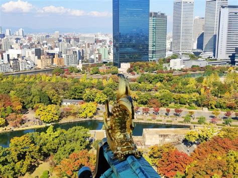 Osaka Castle Observation Deck