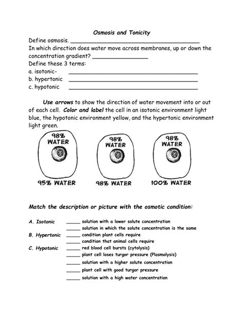 Osmosis And Tonicity Worksheet Answers