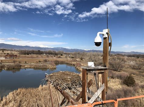 Osprey Camera - Boulder County