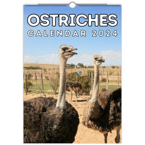 10 Reasons to Visit the Ostrich Festival in Chandler Phoenix With Kids