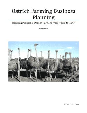Ostrich Farm Business Plan