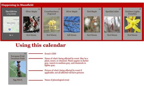 Osu Phenology Calendar