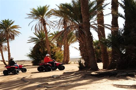 Other Activities Palm Grove