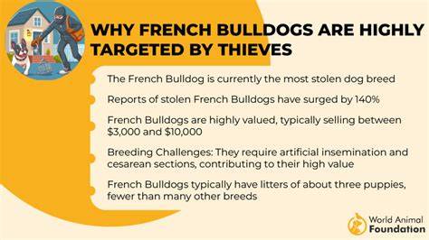Other Breeds Often Targeted