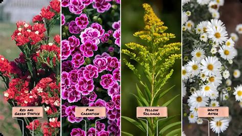 Other Popular Filler Flowers