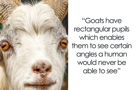 Other interesting information