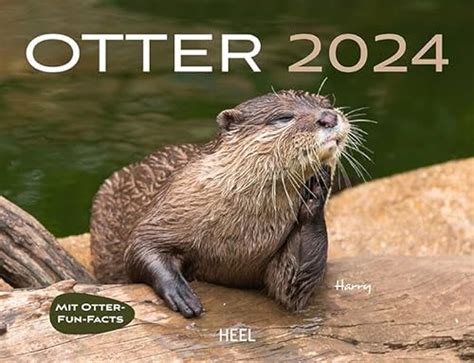 Otter Calendar 2024