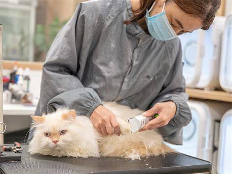 Our Grooming Philosophy