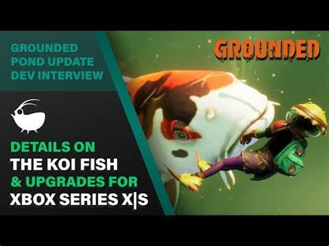 Our Grounded Pond Update interview
