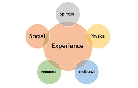 Our vital human experiences