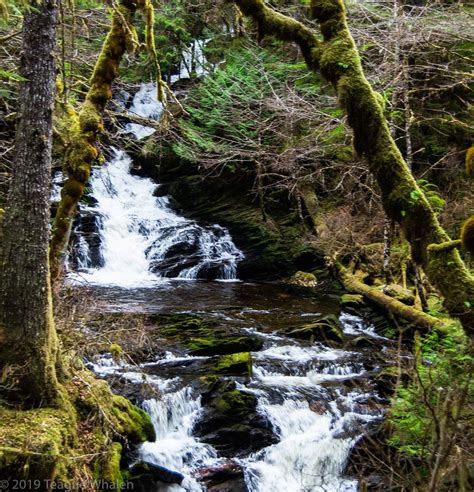 Outdoor Lunch Ketchikan Alaska