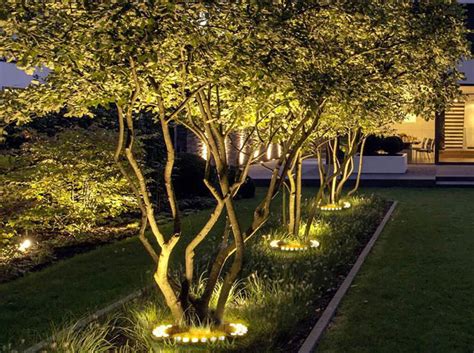 Outdoor Tree Uplights