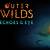 Outer Wilds Echoes Of The Eye Achievements