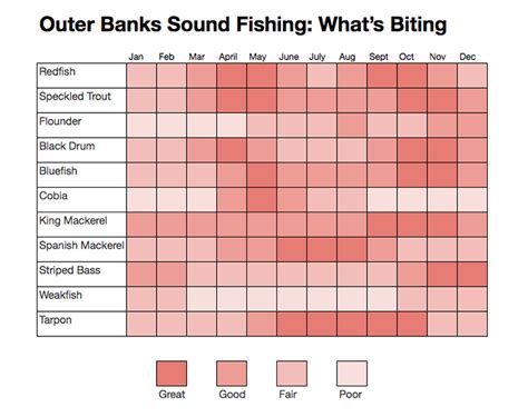Outer Banks Fishing Calendar