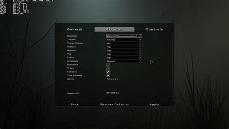 Outlast 2 graphics settings