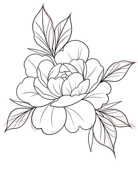 Outline Peony Tattoo Design