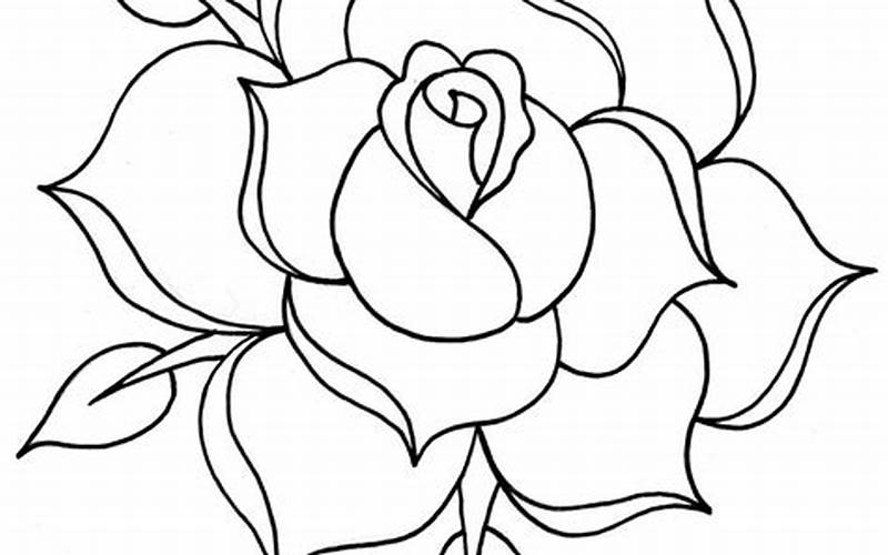 Outlining The Rose