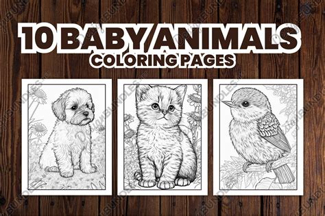 Outstanding Print Coloring Pages Animals At Baby Animal Coloring
