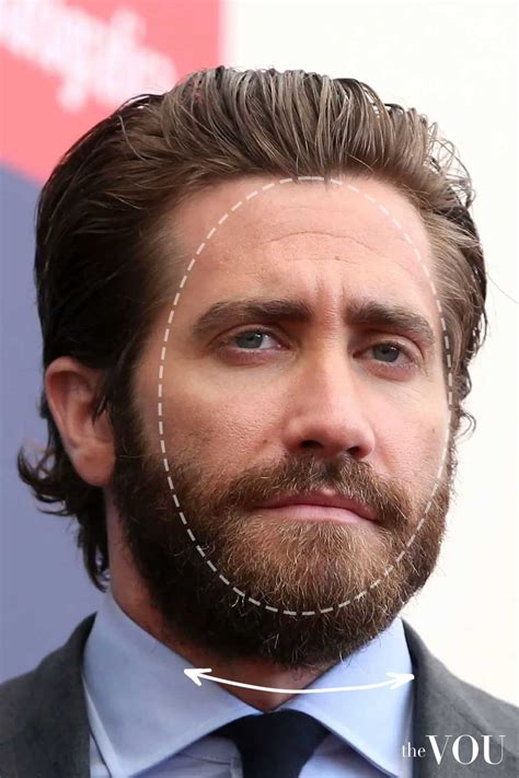 Oval Face Beard
