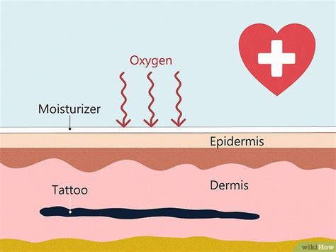 Over Moisturizing A Tattoo