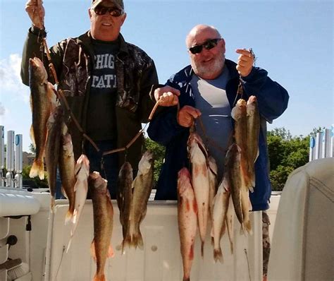 Overall Catch Lake Erie Fishing Report 2017
