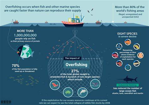 Overfishing and Marine Conservation