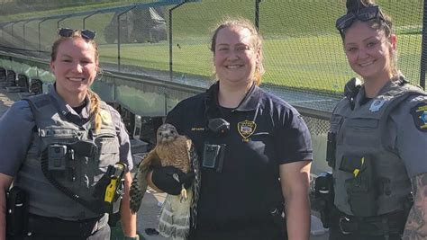 Get Professional and Effective Animal Control Services in Overland Park