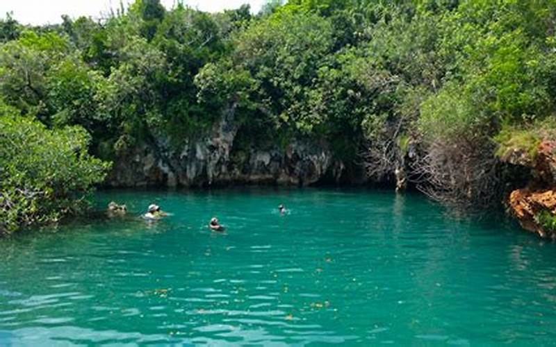 Discovering the Natural Wonders of Blue Hole Park Bermuda