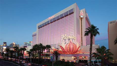 Overview of Flamingo Hotel