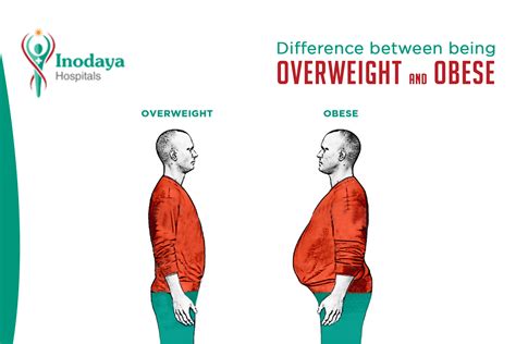 Overweight vs. Obese: Why the Difference Matters
