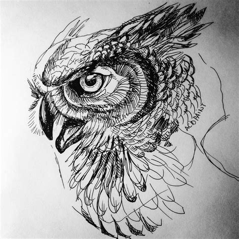 owl, ink, 11x14 Imgur Owl tattoo drawings, Sketch