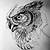 Owl Tattoo Drawing