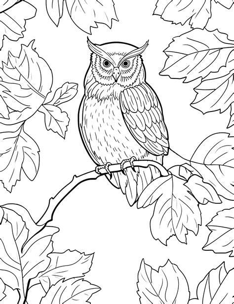 Owl Fall Coloring Pages For Kids