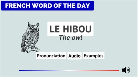 Owl In French