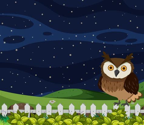 Download Owl Night Scene Vector Cut For Silhouette