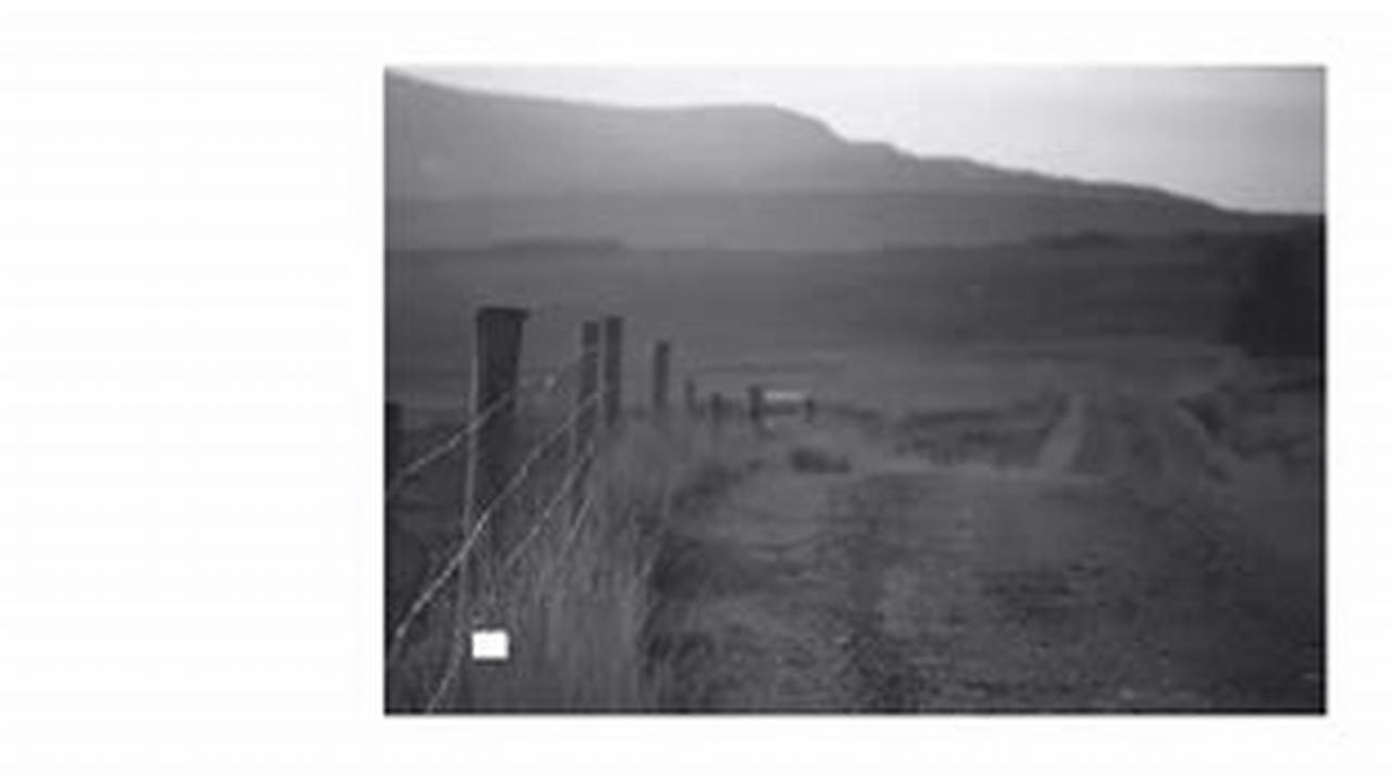 Owners Manual For 2025 Chevy Trailblazer